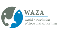 WAZA